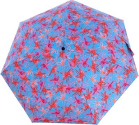 Niebieski || Czerwony